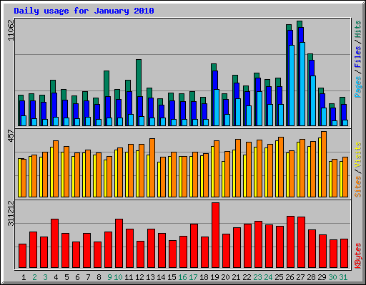Daily usage for January 2010