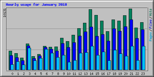 Hourly usage for January 2010
